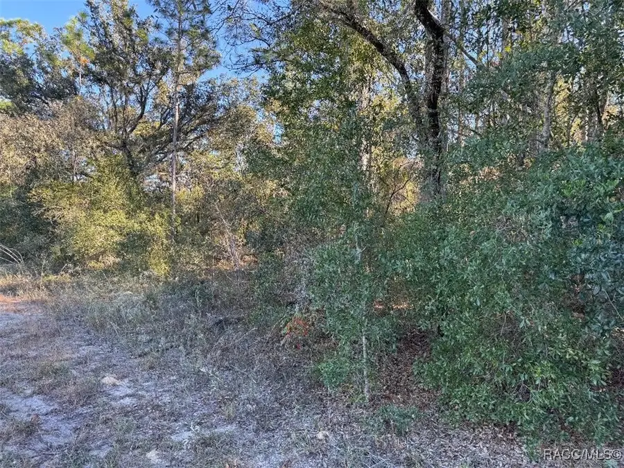 3144 W Marie Drive, Citrus Springs, FL 34433 - Image #2