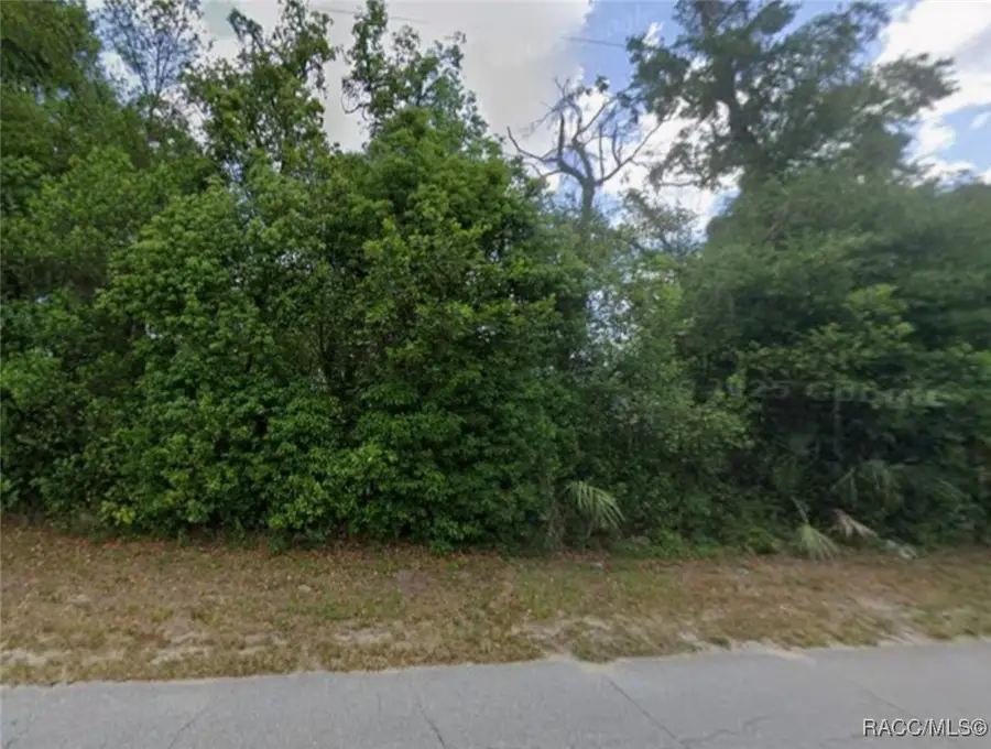 TBD Old Trilby, Dade City, FL 33523 - Image #2