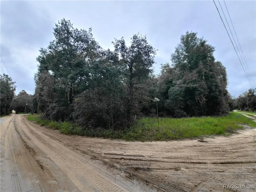 0 NE 120th Street, Williston Bronson, FL 32922 - Image #2