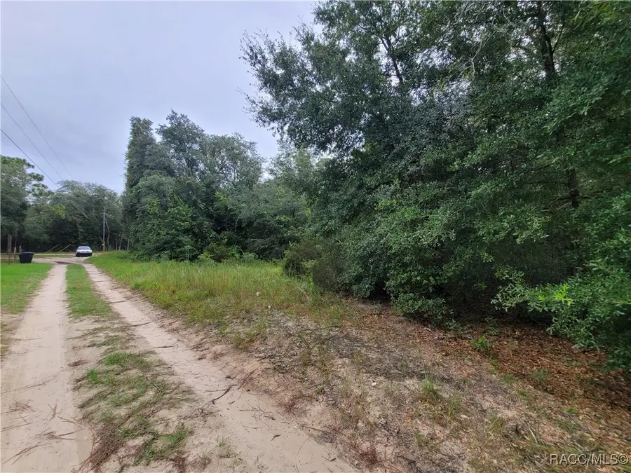 0 NE 120th Street, Williston Bronson, FL 32922 - Image #3