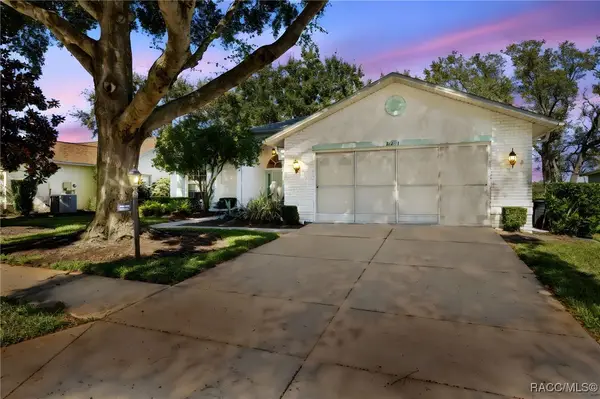 11231 Sun Tree Road, Hudson, FL 34667