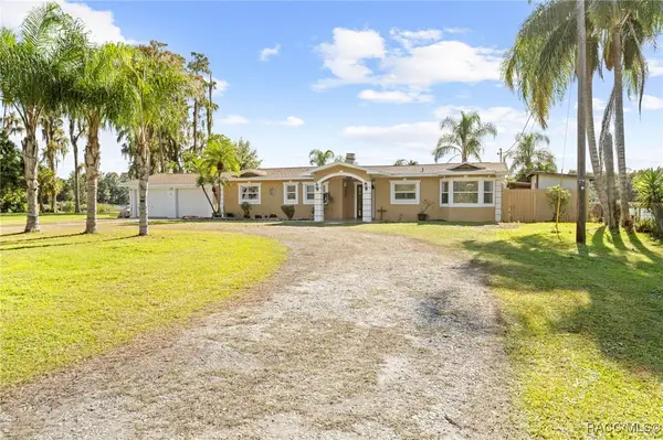 20228 County Line Road, Lutz, FL 33558
