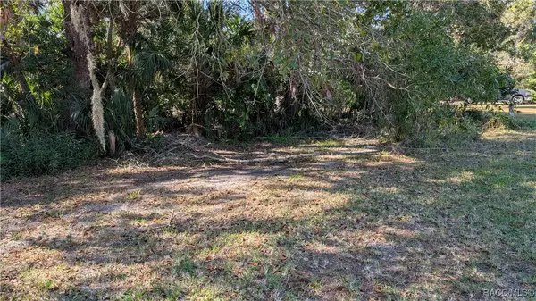 11804 W Fisherman Lane, Homosassa, FL 34448