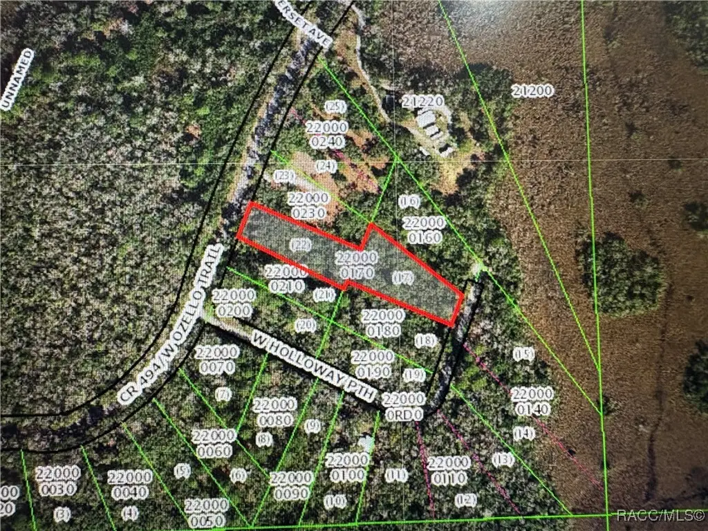 10043 W Holloway Path, Crystal River, FL 34429 - Image #1