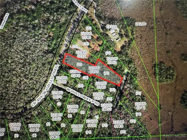 10043 W Holloway Path, Crystal River, FL 34429