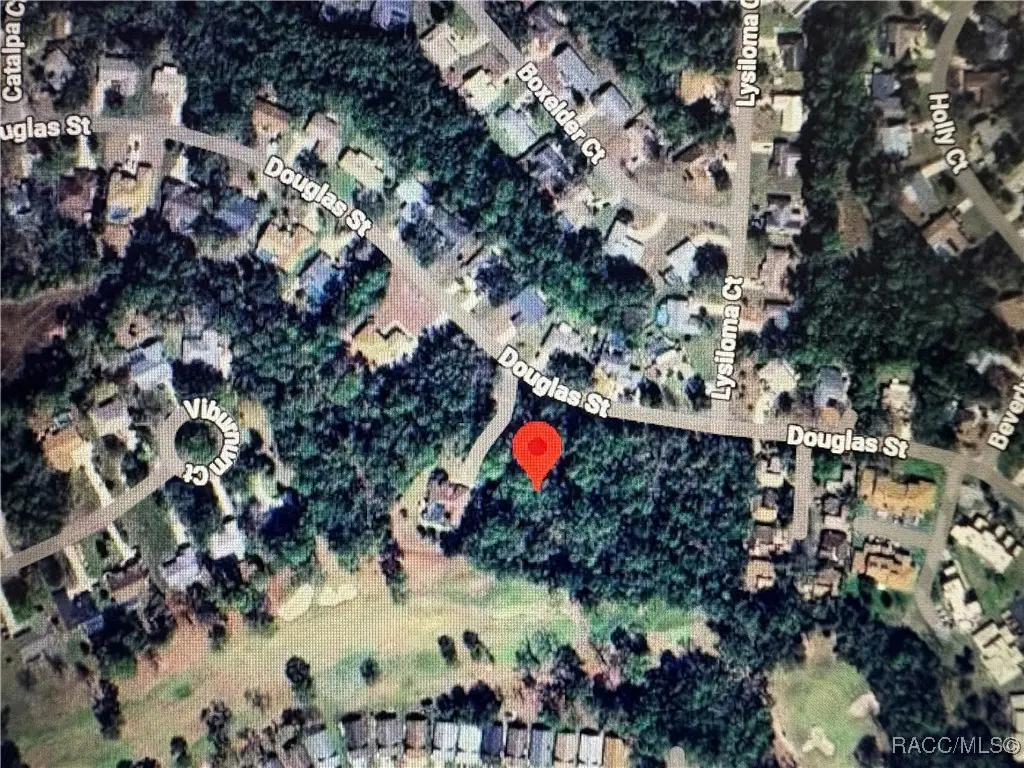 73 Douglas Street, Homosassa, FL 34446 - Image #1