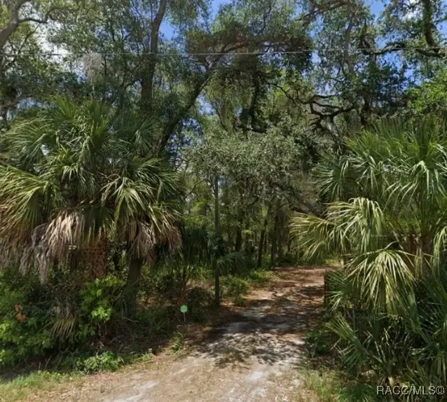 4523 E Harvard Drive, Hernando, FL 34442 - Image #3