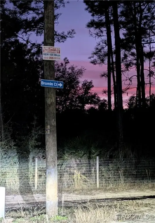 7677 W Bromin Court, Dunnellon, FL 34433 - Image #2