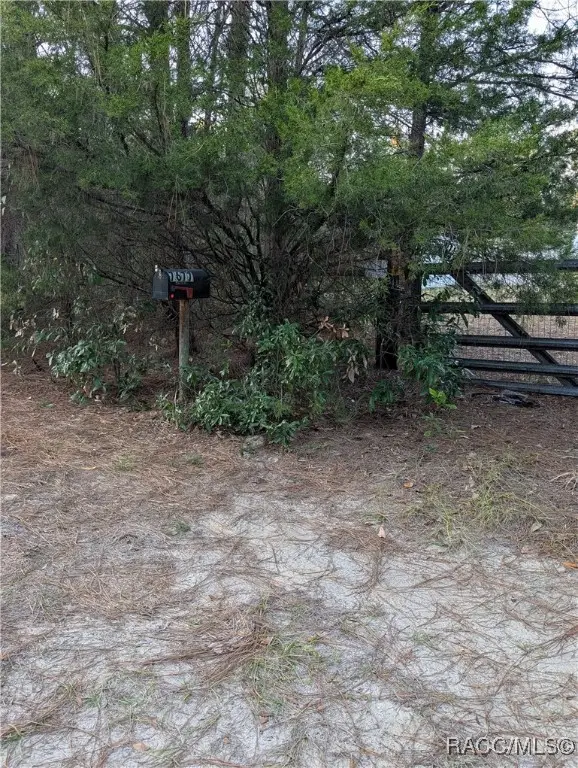 7677 W Bromin Court, Dunnellon, FL 34433 - Image #3