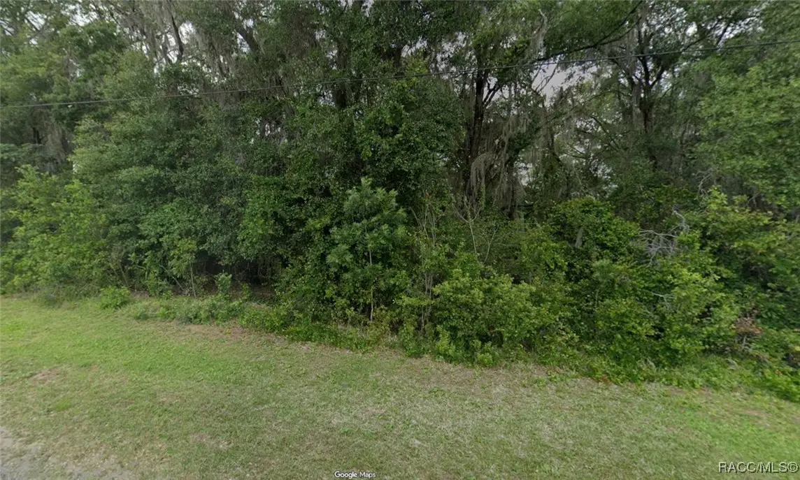 1040 N Christy Way, Inverness, FL 34453 - Image #1