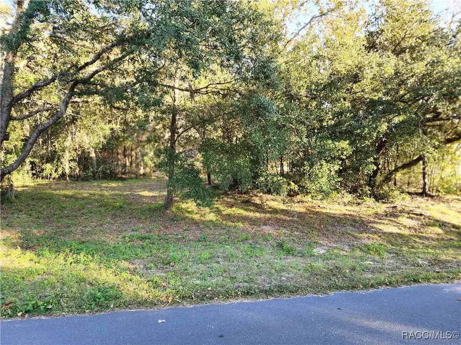 1329 N Mediterranean Way, Inverness, FL 34453 - Image #3