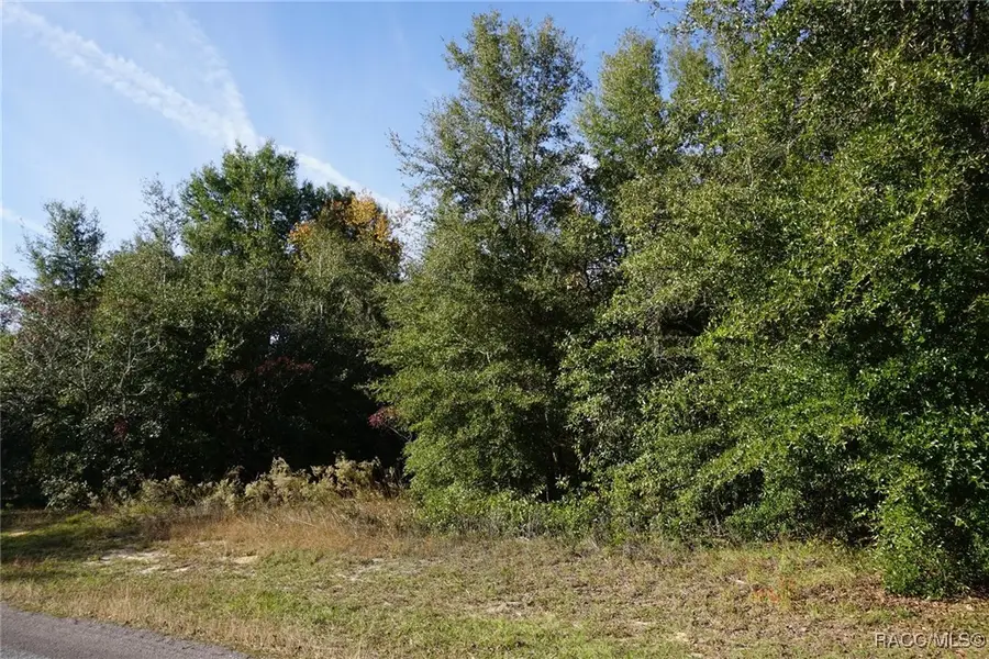 1399 E Ridgefield Drive, Hernando, FL 34442 - Image #2