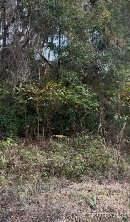 751 N Corbin Avenue, Inverness, FL 34453 - Image #2