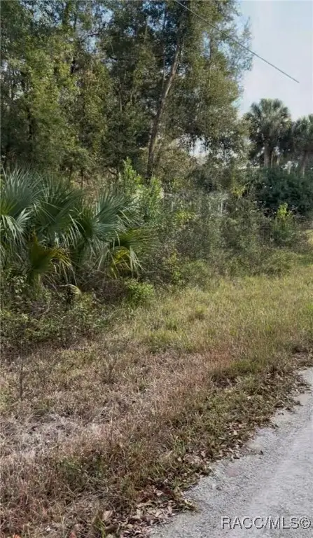 751 N Corbin Avenue, Inverness, FL 34453 - Image #3