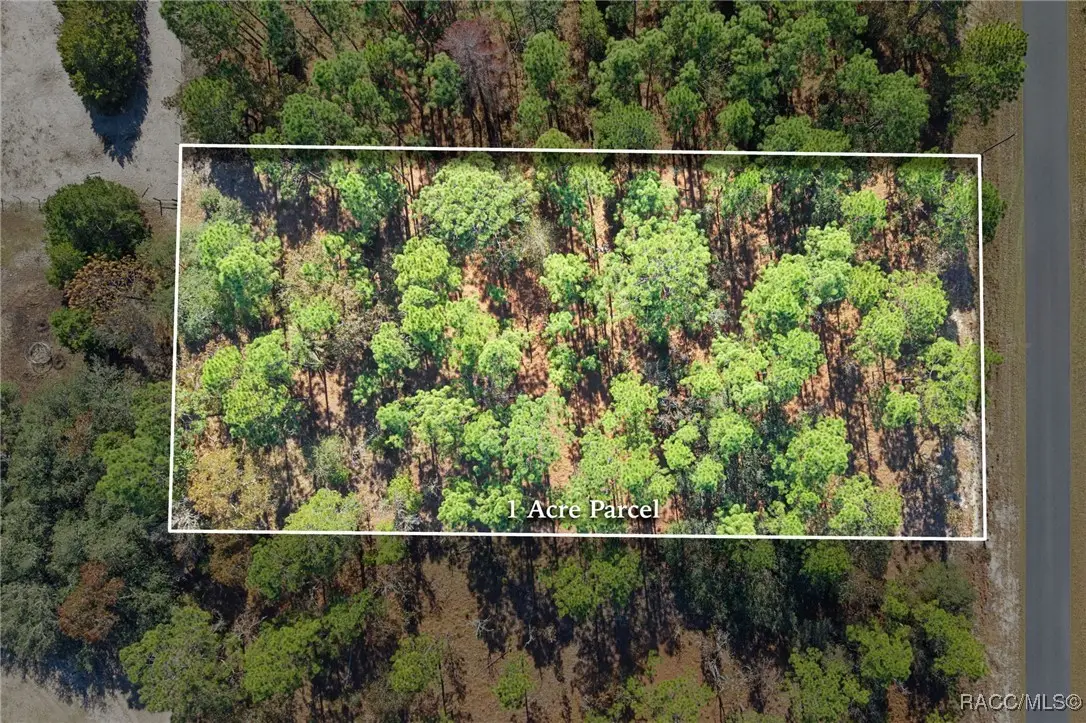 lot 16 SE 136th Terrace, Dunnellon, FL 34431 - Image #1