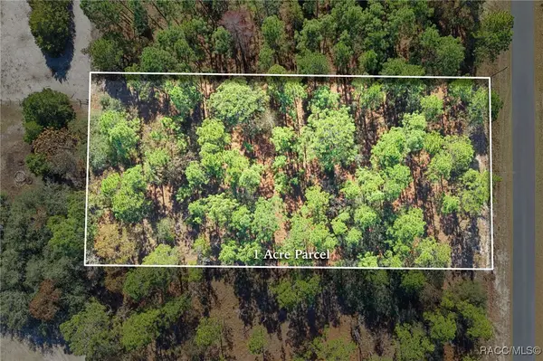 lot 16 SE 136th Terrace, Dunnellon, FL 34431