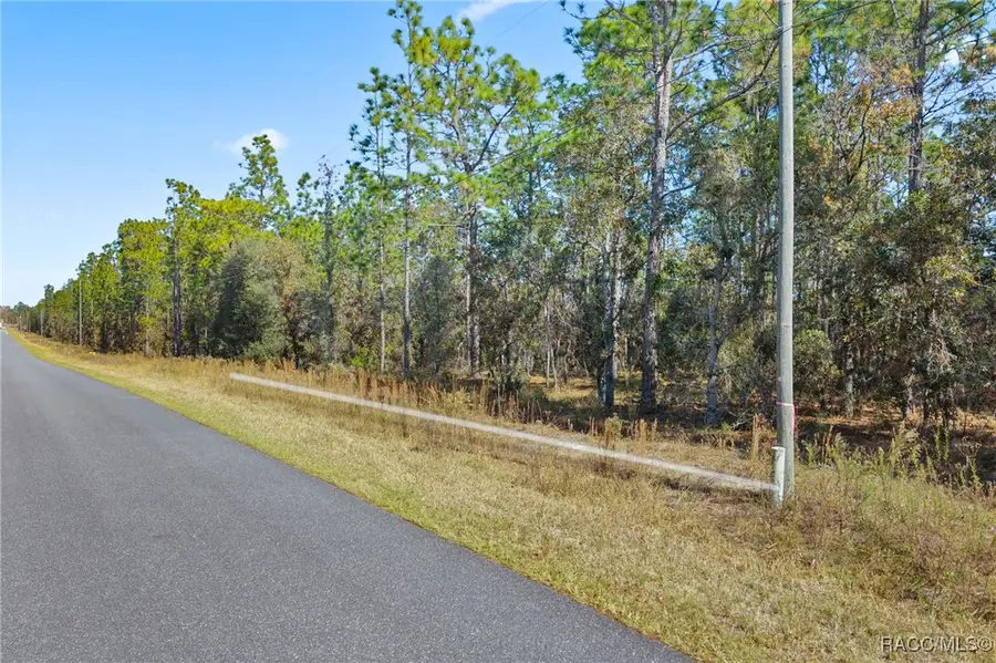 lot 16 SE 136th Terrace, Dunnellon, FL 34431 - Image #2