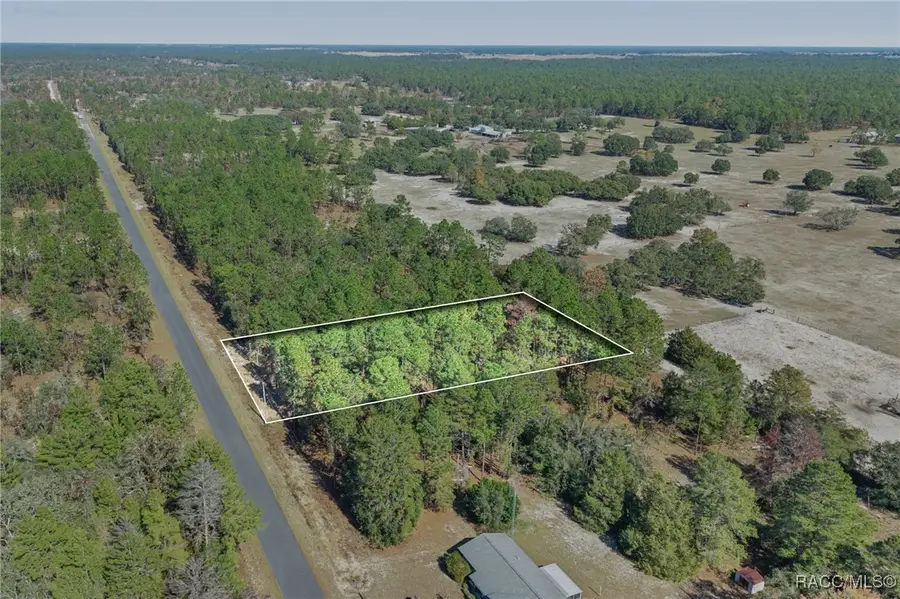 lot 16 SE 136th Terrace, Dunnellon, FL 34431 - Image #3