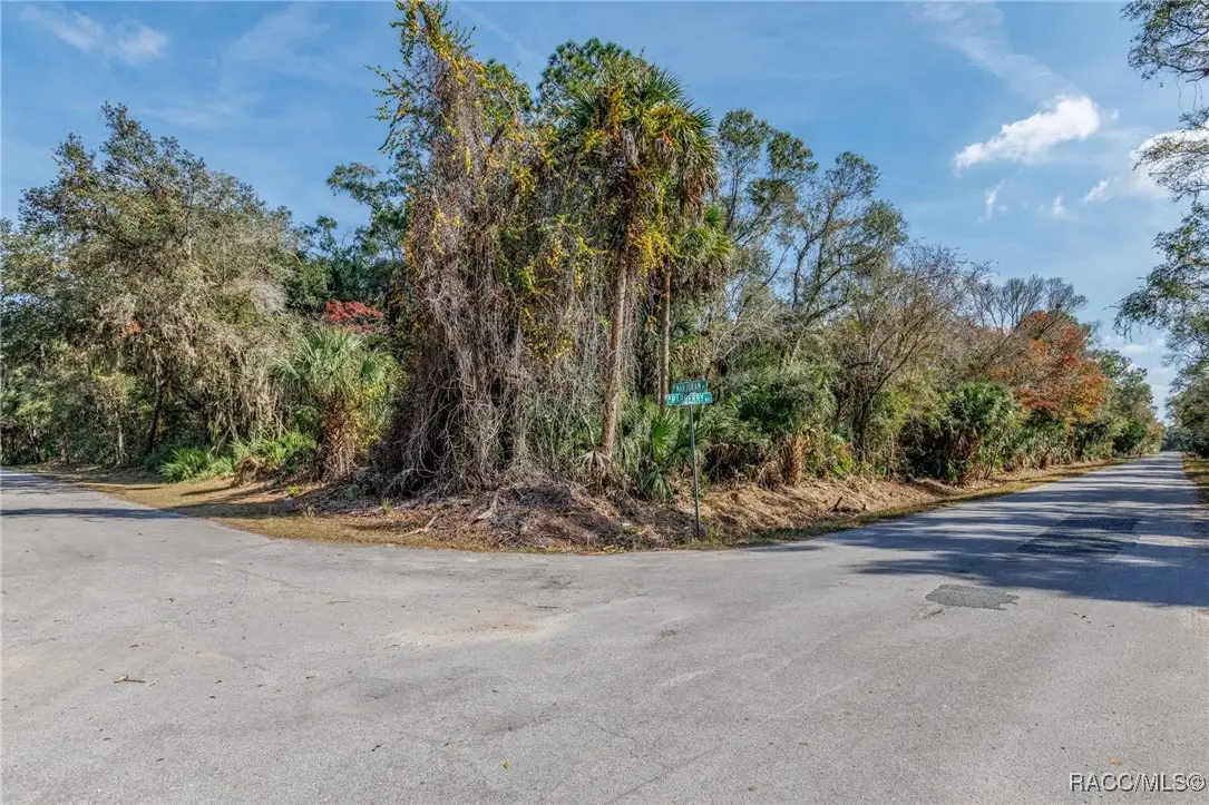 12298 W Marjoram Place, Crystal River, FL 34428 - Image #1