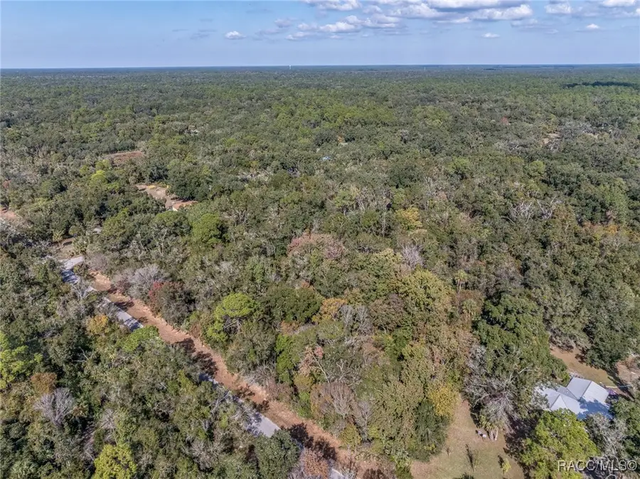 12298 W Marjoram Place, Crystal River, FL 34428 - Image #3