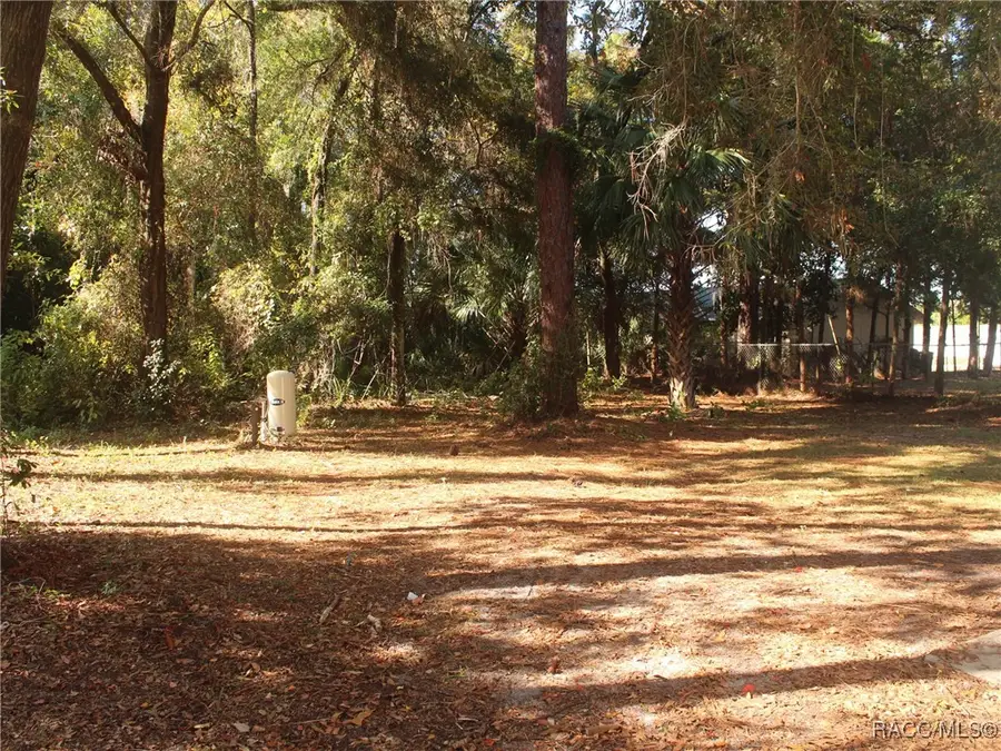 926 N Colin Kelly Point, Crystal River, FL 34429 - Image #3