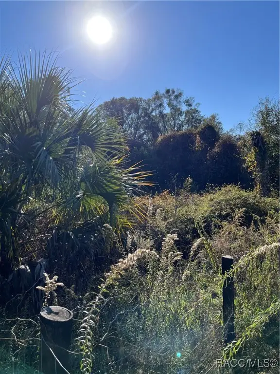 6724 N Bugbee Point, Crystal River, FL 34428 - #1