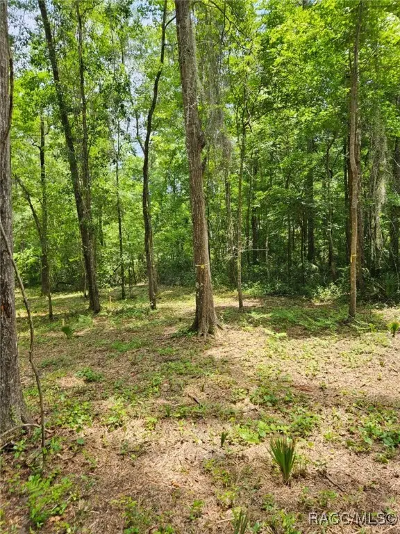 0 NW 83rd Court Road, Ocala, FL 34482 - Image #1