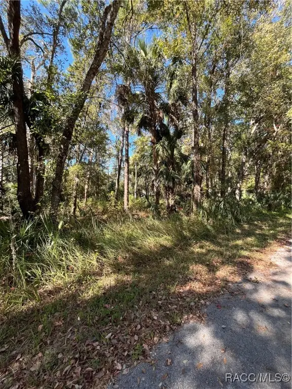 Address Withheld By Seller, Homosassa, FL 34448 - Image #2