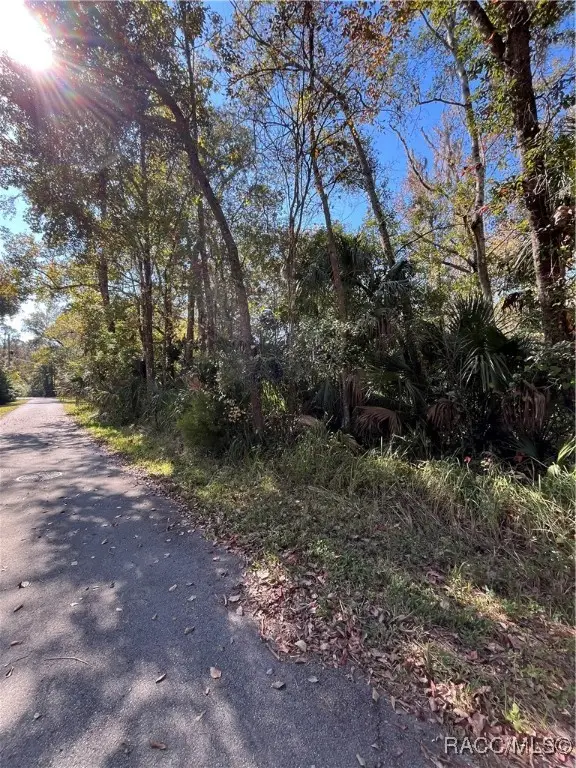 Address Withheld By Seller, Homosassa, FL 34448 - Image #3