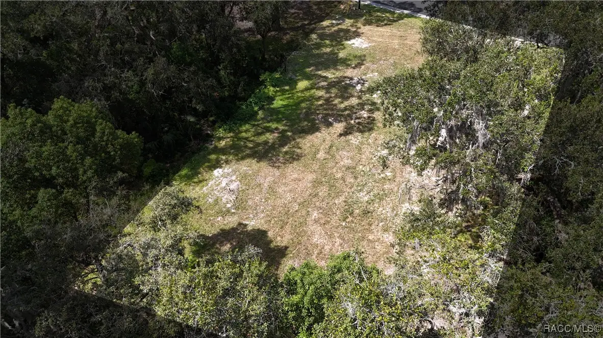 TBD SE 65th Street, Ocklawaha, FL 32179 - Image #1
