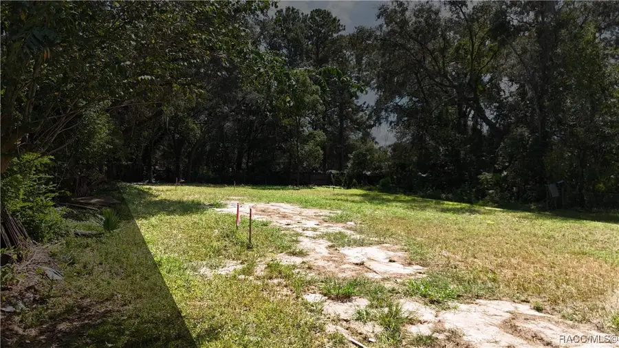 TBD SE 65th Street, Ocklawaha, FL 32179 - Image #3