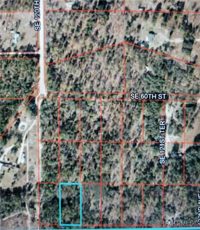 0 SE 120 Avenue, Morriston, FL 32668 - Image #2