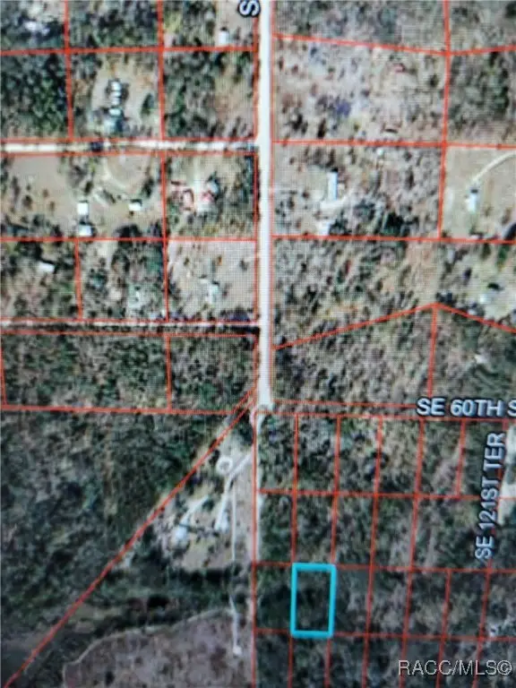 0 SE 120 Avenue, Morriston, FL 32668 - Image #3