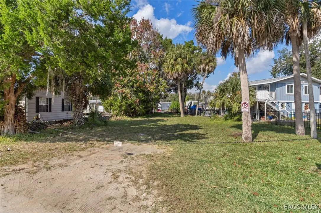 10199 W Blue Springs Court, Homosassa, FL 34448 - #1