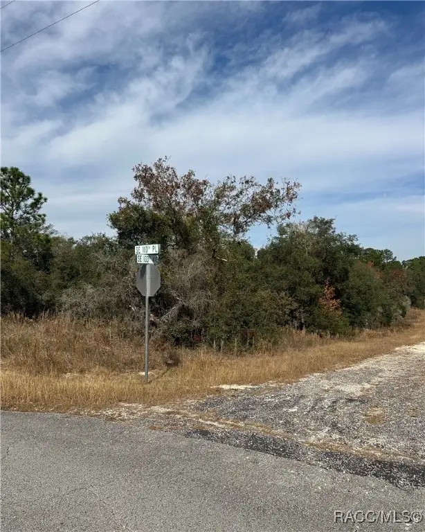 Lot 26 SE 133rd Avenue, Dunnellon, FL 34434 - #2