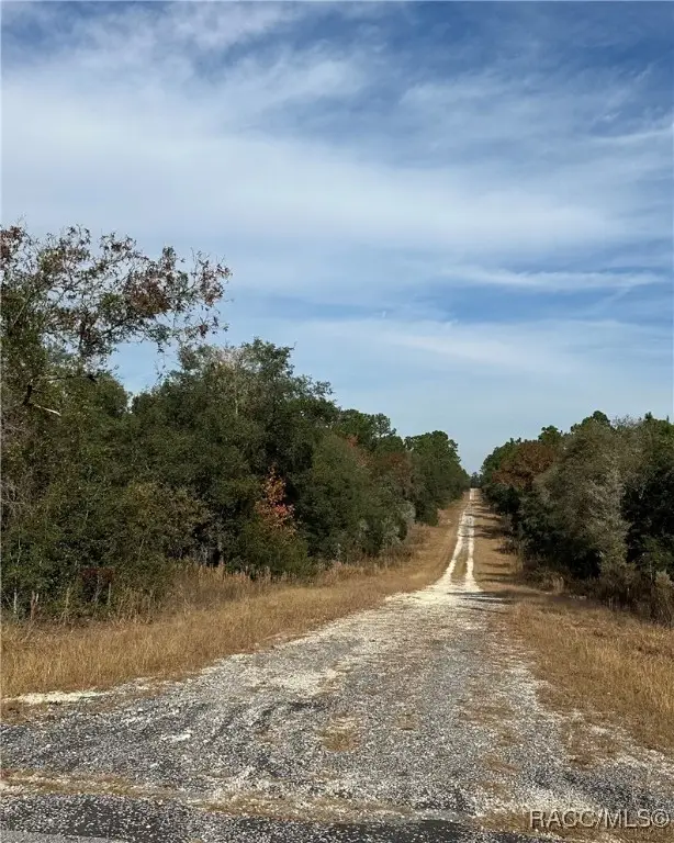 Lot 26 SE 133rd Avenue, Dunnellon, FL 34434 - #3