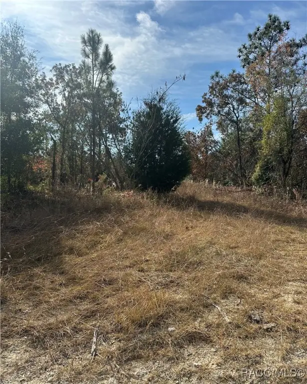 Lot 2 Ne 151st Terrace, Williston, FL 32696 - #1