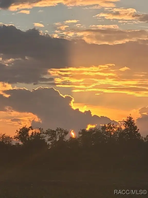 0 Octavia Lane, Webster, FL 33597