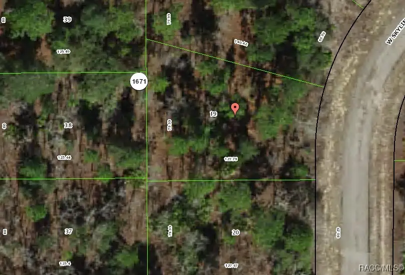 1947 W Skyline Drive, Citrus Springs, FL 34434 - #2