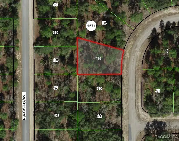 1947 W Skyline Drive, Citrus Springs, FL 34434 - #3