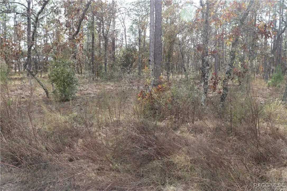 00 Geranium Avenue, Dunnellon, FL 34431 - #1