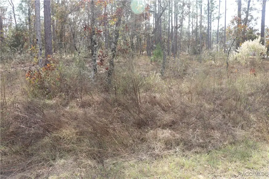 00 Geranium Avenue, Dunnellon, FL 34431 - #2