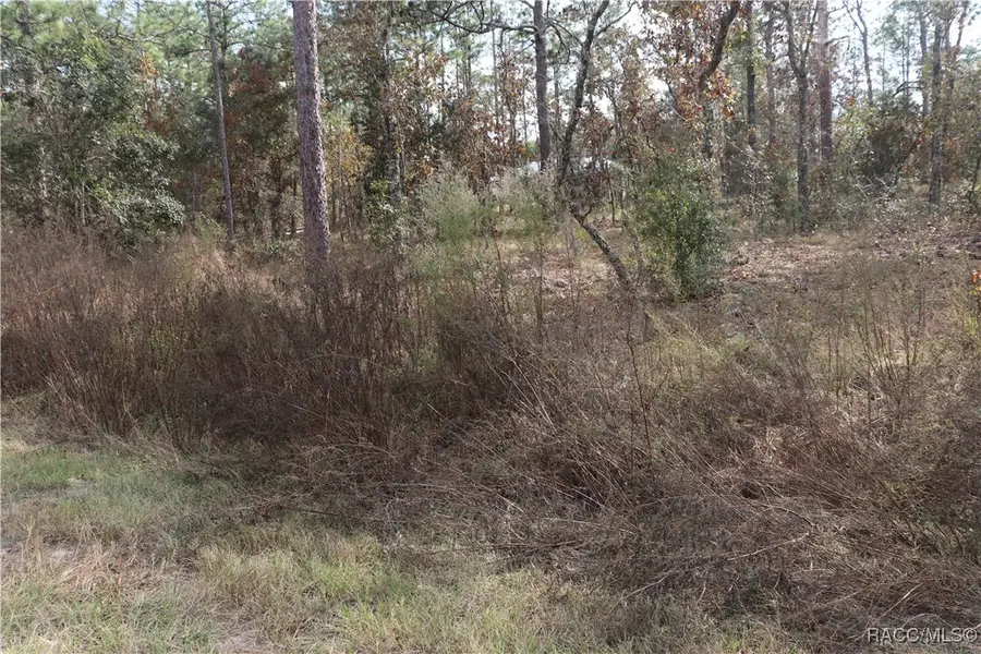 00 Geranium Avenue, Dunnellon, FL 34431 - #3