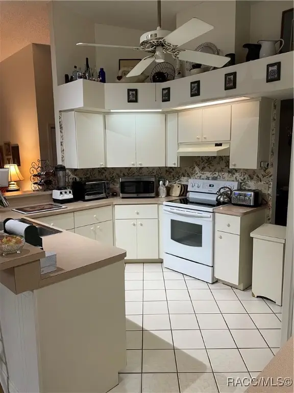 4381 N Capistrano Loop, Beverly Hills, FL 34465 - Image #2