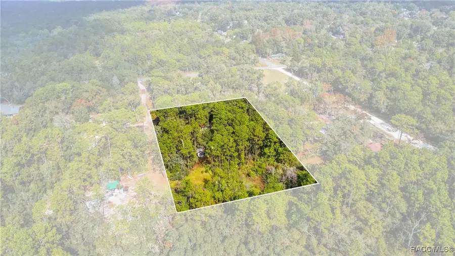 419 N Florene Point, Crystal River, FL 34429 - Image #2