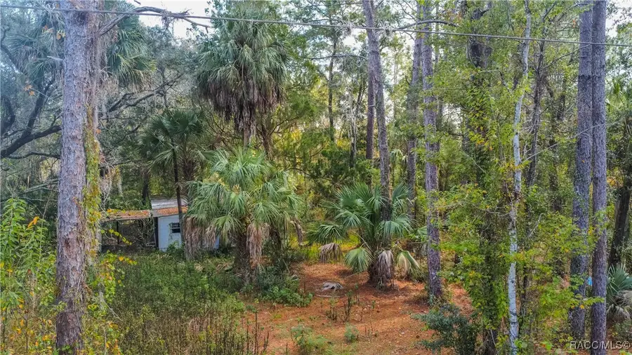 419 N Florene Point, Crystal River, FL 34429 - Image #3