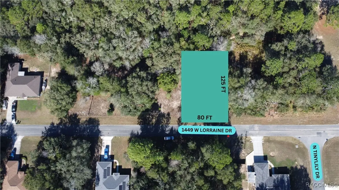 1449 W Lorraine Drive, Citrus Springs, FL 34434 - #1