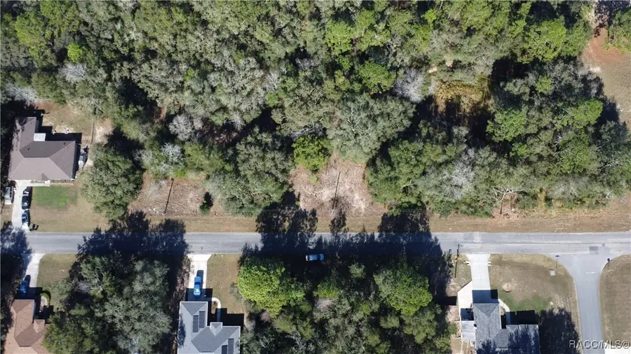 1449 W Lorraine Drive, Citrus Springs, FL 34434 - #2