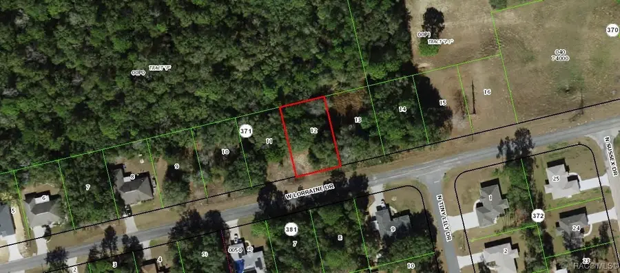 1449 W Lorraine Drive, Citrus Springs, FL 34434 - #3