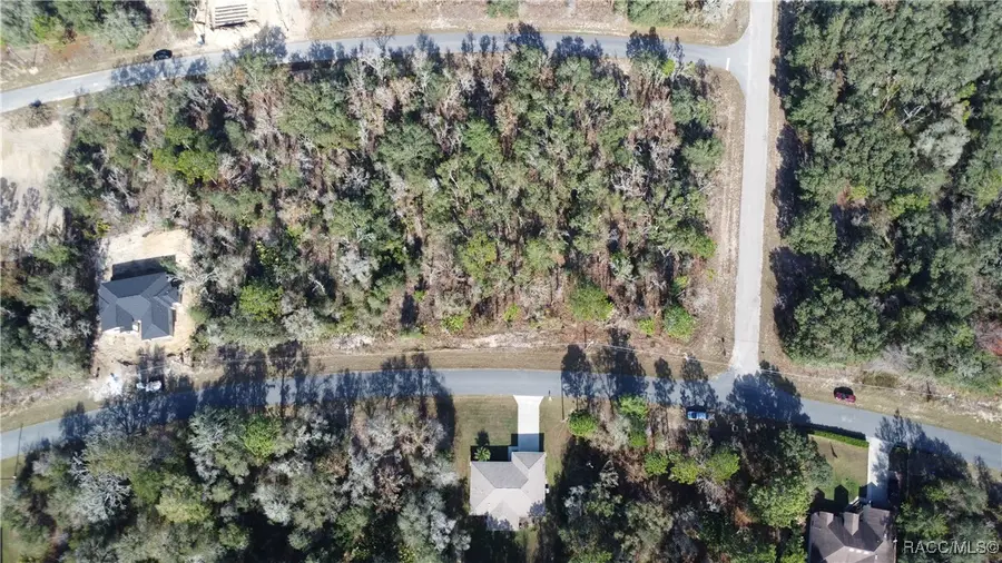 1655 W Mcneal Drive, Citrus Springs, FL 34434 - Image #3